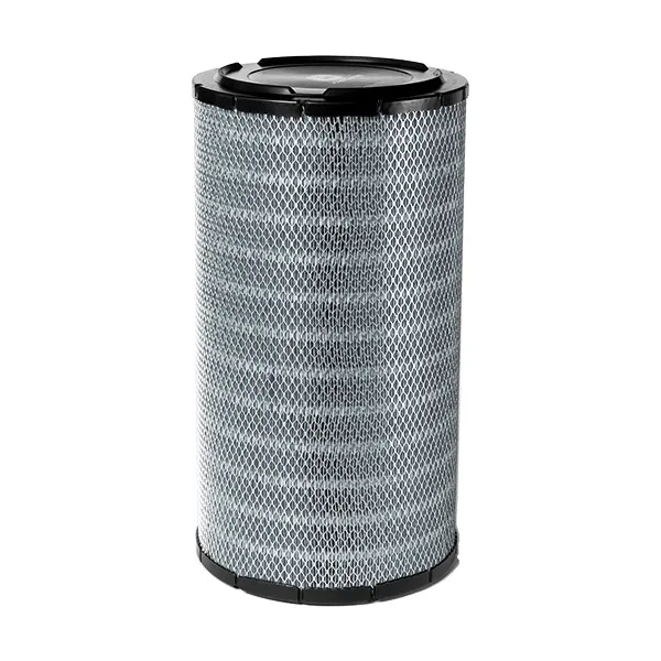 AT223226 - Filtre à air primaire
